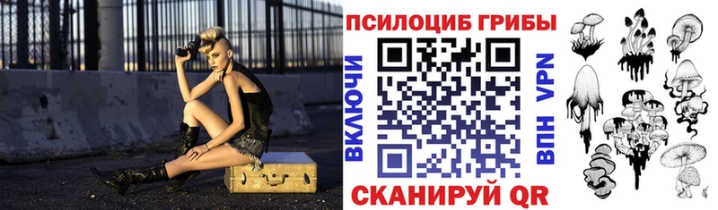omg tor  Арзамас  Псилоцибиновые грибы ЛСД  купить закладку 
